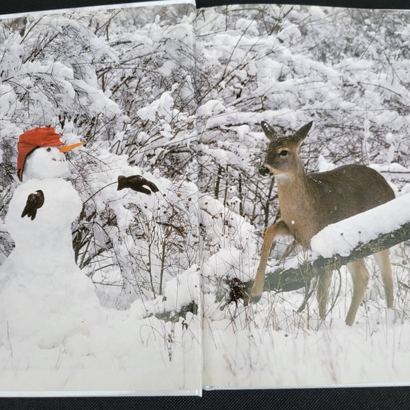 Stranger in the Woods: A Photographic Fantasy ~ Signed by Authors! - Picture 11 of 16